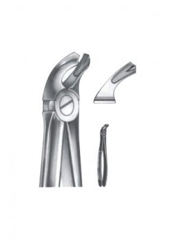 Extracting Forceps